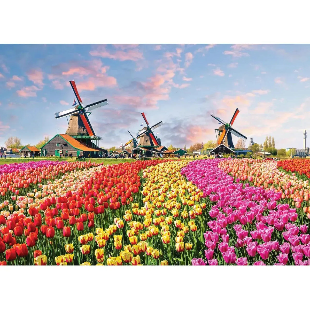 Windmills & Tulips 1000-Piece Puzzle